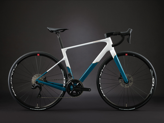Trigon RC2 車架組(含手把組, 坐管, Token BB)